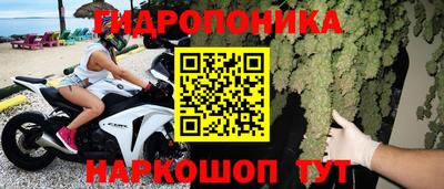 стаф Аргун