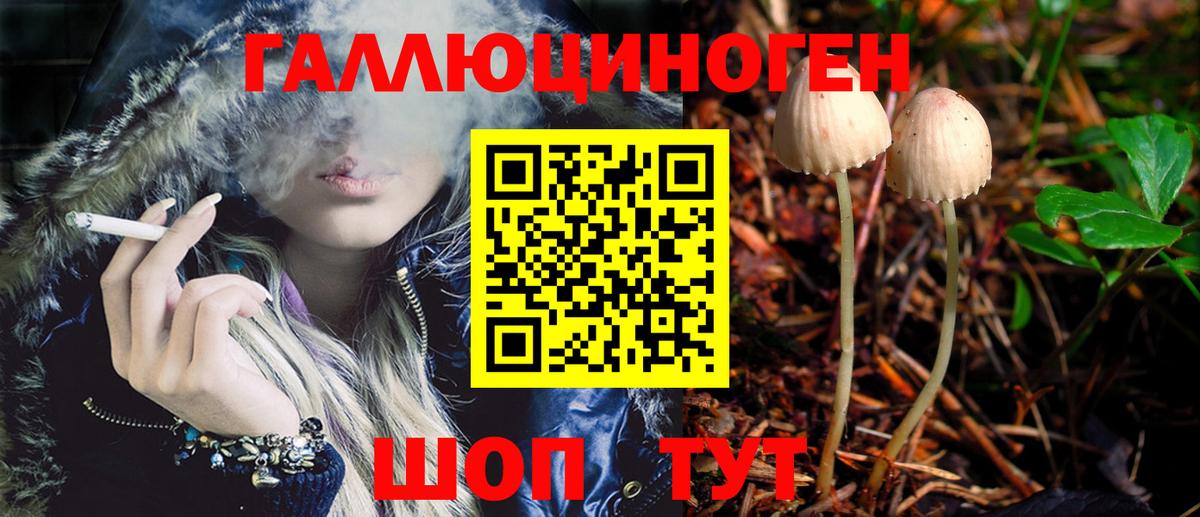 Волгоград  купить наркоту  Галлюциногенные грибы ЛСД  Вход с VPN  Галлюциногенные грибы Magic Shrooms 